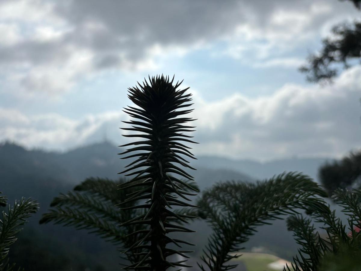 Zu-Zu Hostels Shimla Buitenkant foto